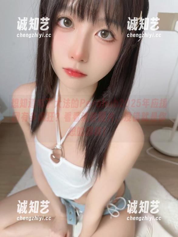 想知道布丁大法的Perohub2025年应援团有多疯狂？看看这些图片，没错就是你想的那样！