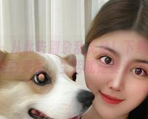 微密圈 – 从此告别杂乱无章!下载海豚baby的纯白美图,生活就是要这么简单!