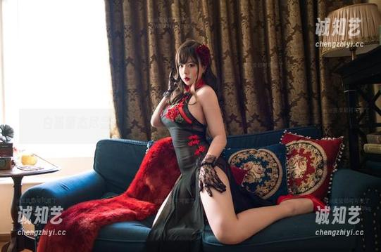 白猫萌态尽显，皮皮奶可可爱了啦的写真作品下载无压力！