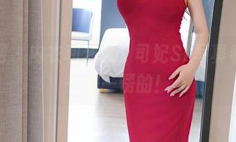 秀人网 – 内衣和艺术，司妃SL写真看得我一愣一愣的！